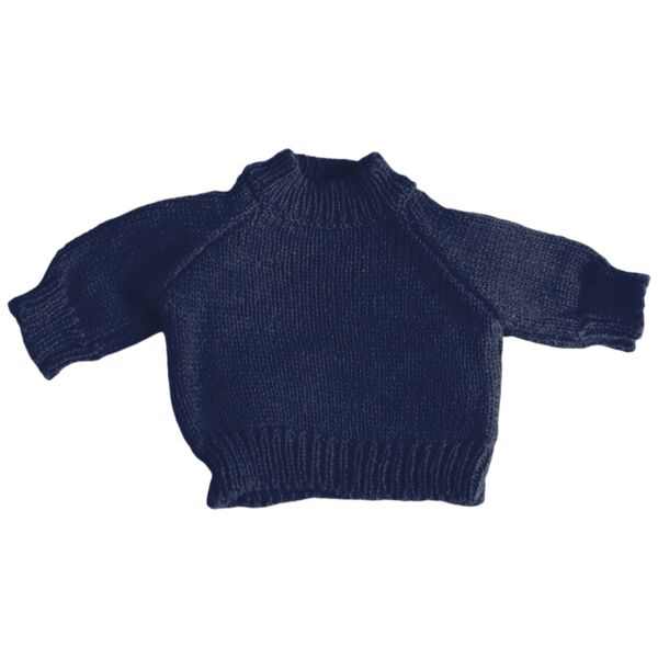 Teddy jumper Thumbnail