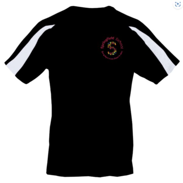 Springfield School PE T-Shirt (All Years) Thumbnail
