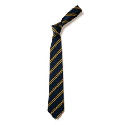 St. Paul's CE Primary Tie Thumbnail