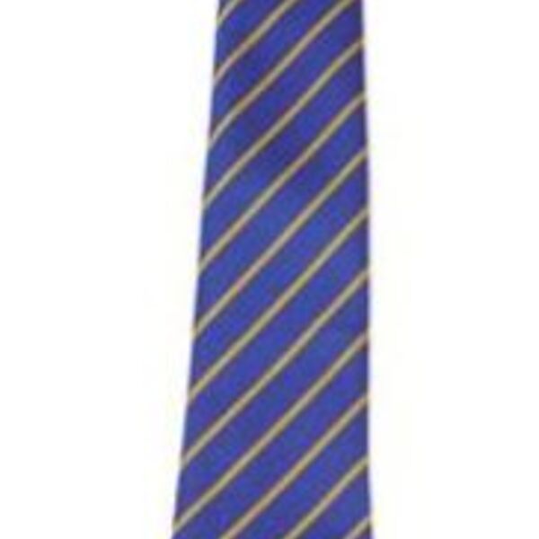 Kingsland C of E Clip on Tie  Thumbnail