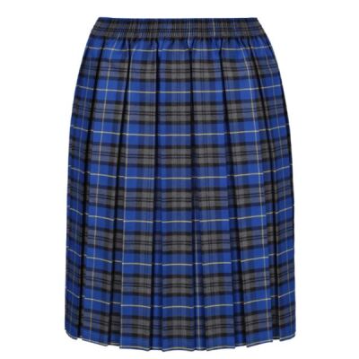 Kingsland C of E Tartan Skirt  Thumbnail