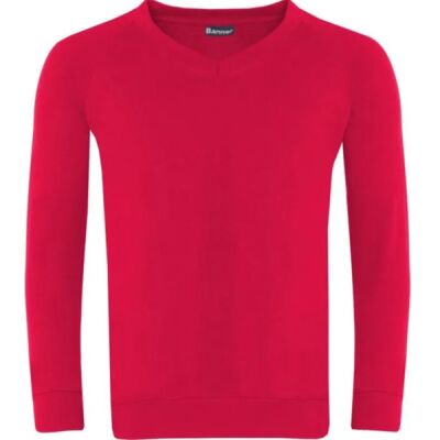 Vine Tree Primary V Neck Sweatshirt  Thumbnail