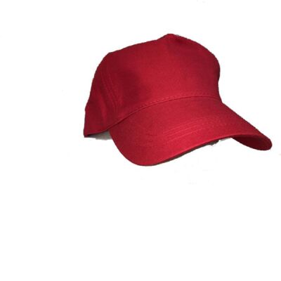 Wheelock Primary Hat Thumbnail