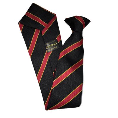 Holmes Chapel Comprehensive Arley Tie Thumbnail