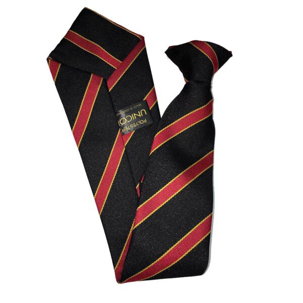 Holmes Chapel Comprehensive Arley Tie Thumbnail