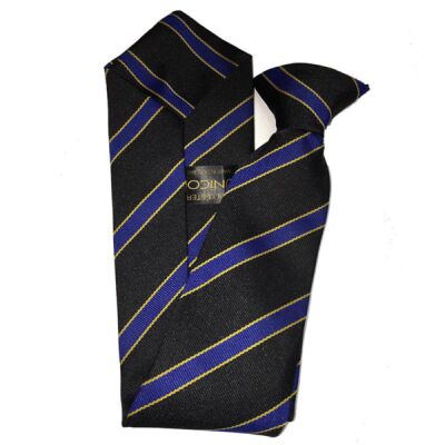 Holmes Chapel Comprehensive Moreton Tie Thumbnail