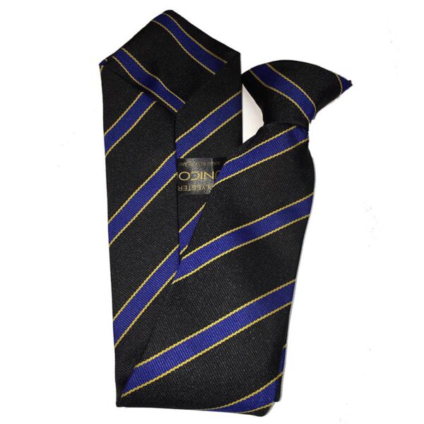 Holmes Chapel Comprehensive Moreton Tie Thumbnail