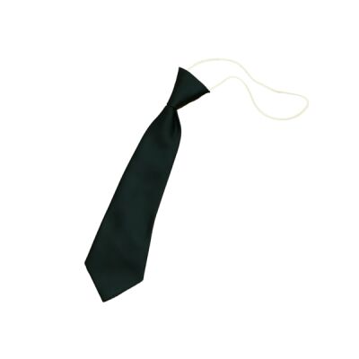 Bunbury Aldersey CE Primary Elasticated Tie Thumbnail
