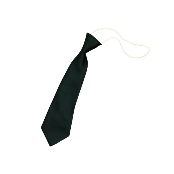 Bunbury Aldersey CE Primary Elasticated Tie Thumbnail