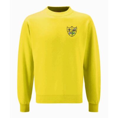 all saints dino sweatshirt