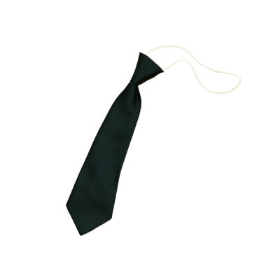 Bunbury Aldersey CE Primary Elasticated Tie Thumbnail