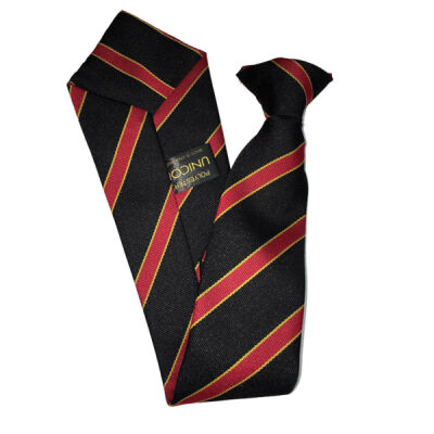 Holmes Chapel Comprehensive Arley Tie Thumbnail