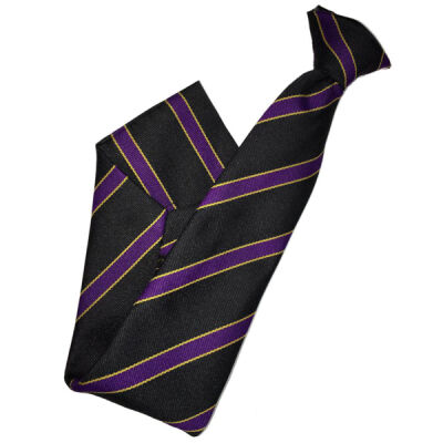 Holmes Chapel Comprehensive Capesthorne Tie Thumbnail
