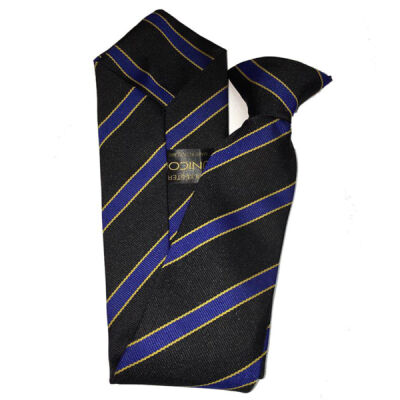 Holmes Chapel Comprehensive Moreton Tie Thumbnail