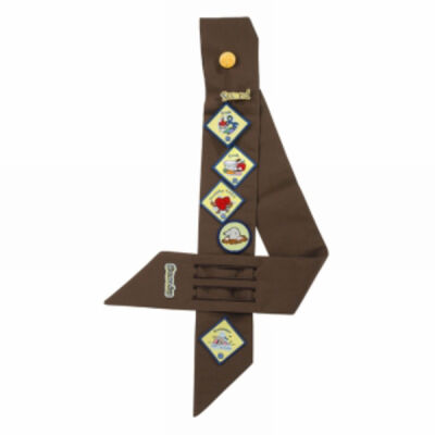 Brownie Badge sash Thumbnail